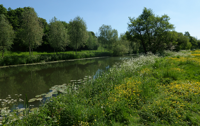 A brief history of the golf&nbsp;course